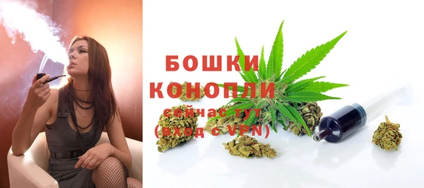 прущие крисы Верхний Тагил