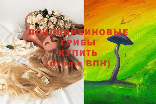прущие крисы Верхний Тагил