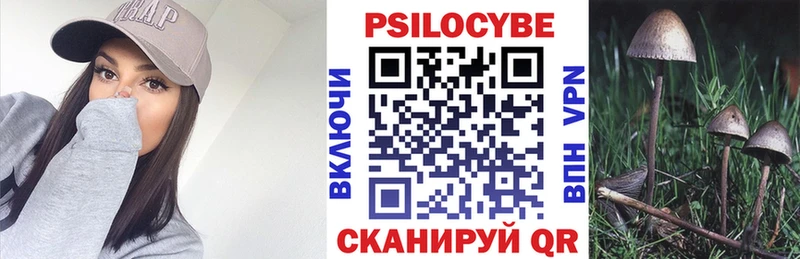 Галлюциногенные грибы GOLDEN TEACHER  купить наркотик  Сафоново 